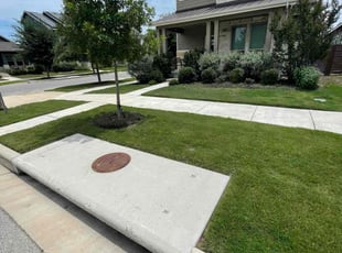 Tammy S.'s lawn care services service result