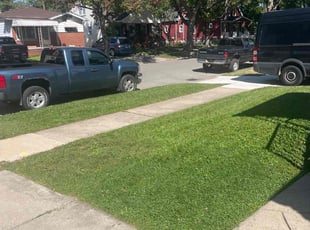 Manielle S.'s grass maintenance service result