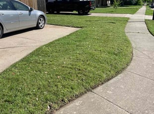 Robert Z.'s lawn care services service result