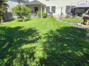 Shelbey B.'s grass cutting service result