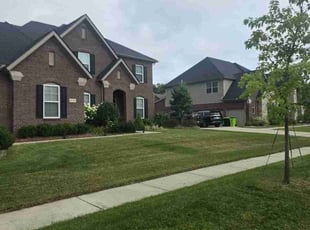 Dave R.'s grass maintenance service result