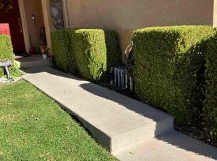 Mitchell M.'s Bush Trimming service result