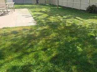 Kristin S.'s lawn service service result