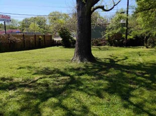 Steven P.'s grass maintenance service result