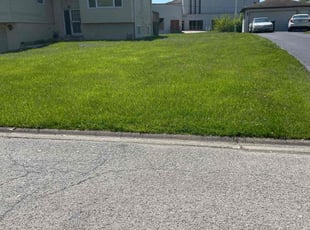 Jay T.'s lawn care services service result