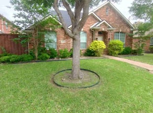 Brenda H.'s grass maintenance service result