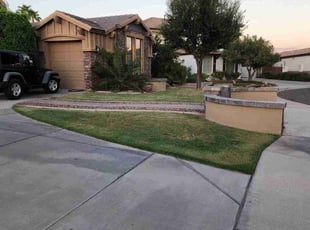 Ta-Me C.'s grass cutting service result