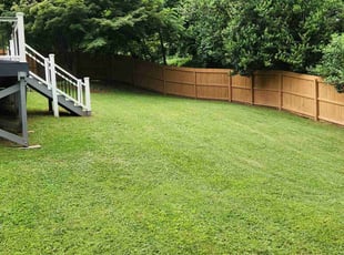 Khanada T.'s turf maintenance service result