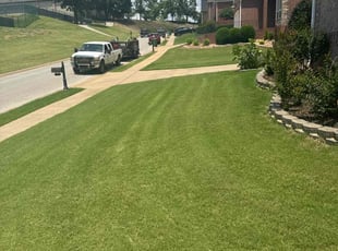 Allison R.'s grass maintenance service result