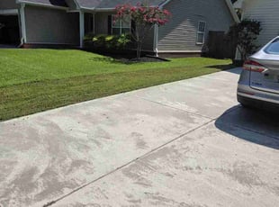 Tara T.'s grass cutting service result