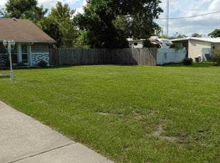 Joe M.'s lawn care service result