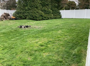 James H.'s turf maintenance service result