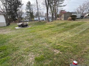 Tracy O.'s grass maintenance service result