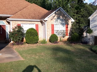 Steve M.'s Bush Trimming service result