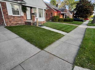 Dennis B.'s lawn service service result