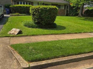 Cody W.'s lawn maintenance service result
