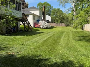 Sally M.'s grass maintenance service result