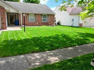 Isabel B.'s turf maintenance service result