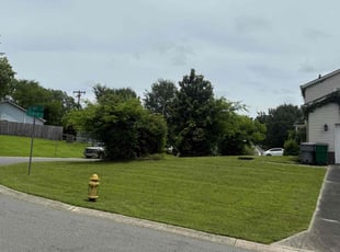 Jean H.'s grass cutting service result