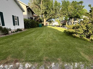Adrian B.'s lawn service service result