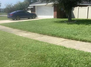 Lesley K.'s grass cutting service result