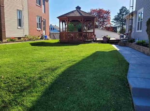 Kartik K.'s turf maintenance service result