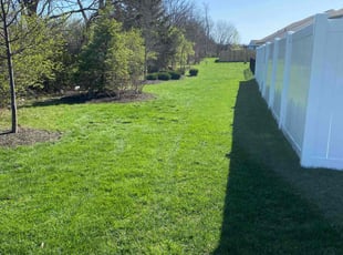 Venkata G.'s lawn care service result