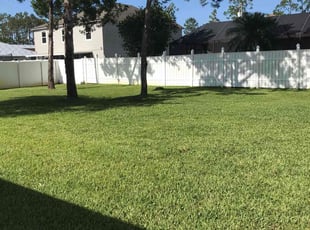 Elizabeth Z.'s turf maintenance service result
