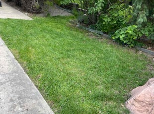 Darryl K.'s lawn care services service result