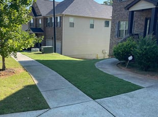 Phillip M.'s lawn care services service result