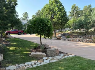 Genna L.'s lawn maintenance service result