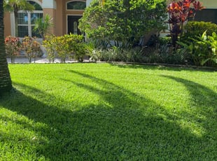 Joey F.'s lawn service service result