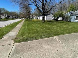 Matt B.'s lawn maintenance service result