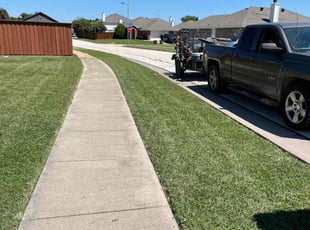 Donna B.'s turf care service result