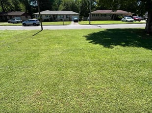 Deborah M.'s grass maintenance service result