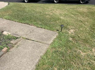 Kathi T.'s turf care service result