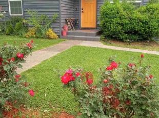Britt A.'s turf care service result
