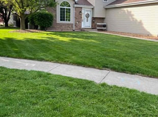 Linda H.'s turf care service result