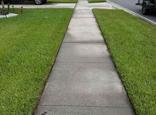 Judy N.'s lawn care service result