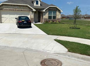 Alyse C.'s turf care service result