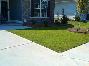 Quanisha J.'s lawn service service result