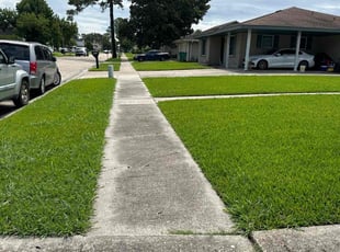 Charlette T.'s lawn service service result