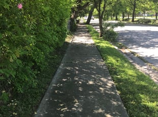 Patricia O.'s Bush Trimming service result