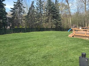 Kevin S.'s lawn service service result