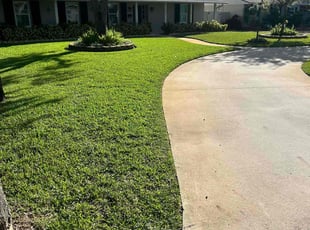 Michelle J.'s lawn care service result