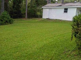 Phyllis L.'s turf care service result
