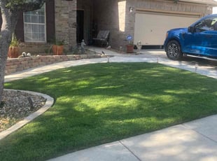 Esmeralda E.'s turf care service result