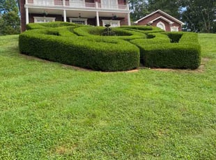Monique R.'s turf maintenance service result