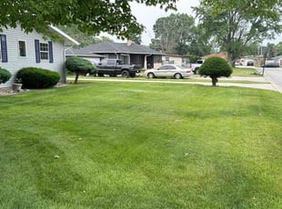 Brannin L.'s turf maintenance service result