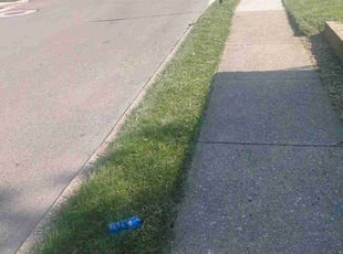 Elizabeth S.'s grass cutting service result